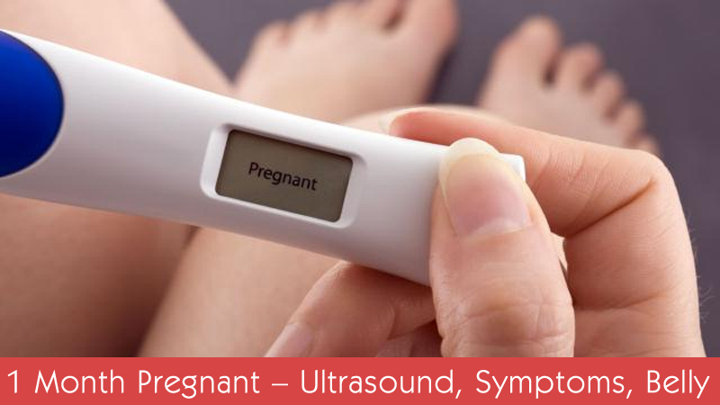 First Ultrasound Pregnant 35