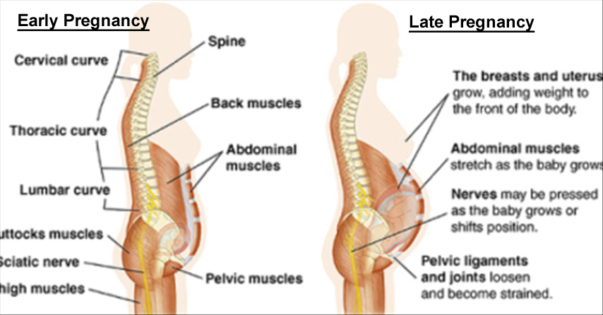 Causes of Abdominal Pain in Pregnancy