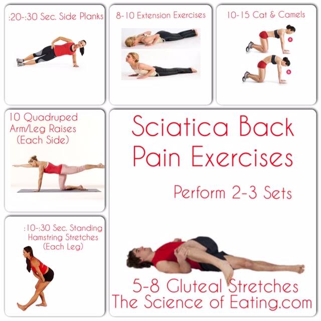 Sciatica Back Pain Exercises