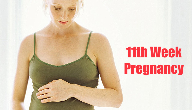 11 Week Pregnancy