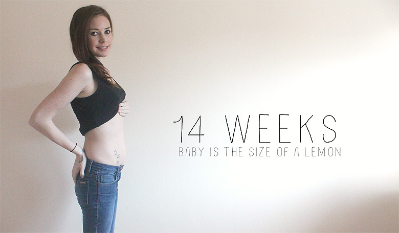 14 Weeks Pregnancy