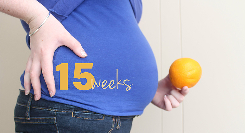 15th Week of Pregnancy