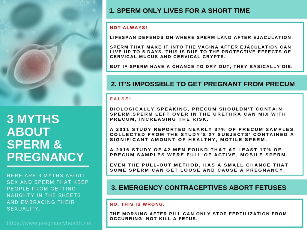 Pregnancy from precum probability of What are