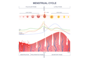 45% of the 6.1 million pregnancies in the United States were unintended. what is precum, can precum get you pregnant, withdrawal method, pull out method,