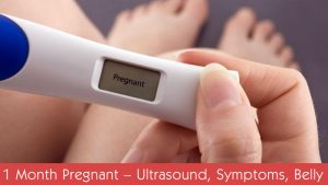 1 Month Pregnant – Ultrasound, Symptoms, Belly