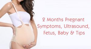 2 Months Pregnant – Belly, Symptoms, Ultrasound, Fetus, Baby & Tips