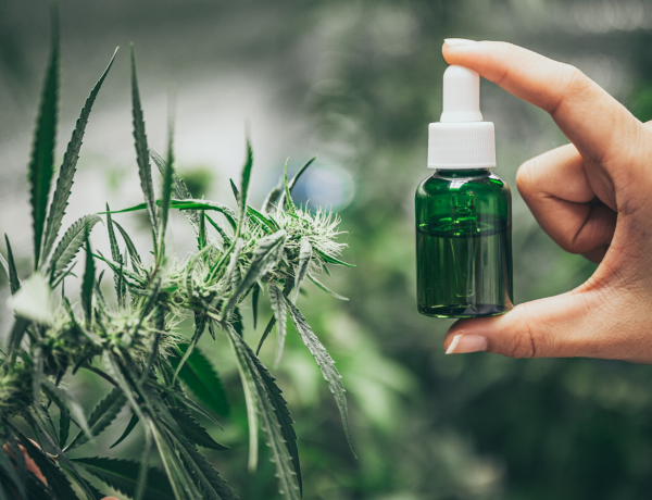 CBD Oil During Pregnancy